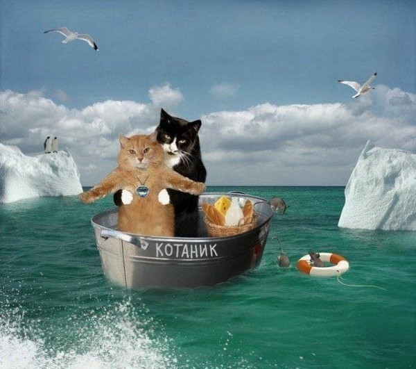 Котаник