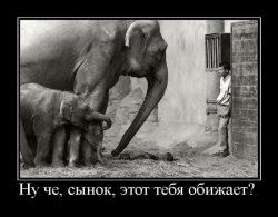 Он?