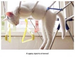 Фулл комфорт