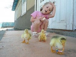 Красавцы!