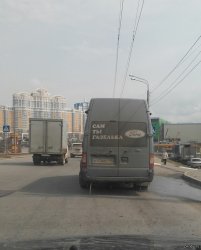 Сам ты газелька