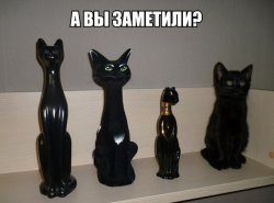 Заметили?
