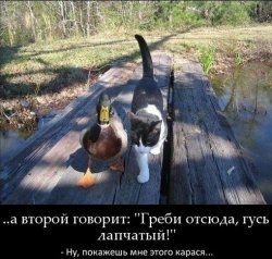 А он мне говорит...
