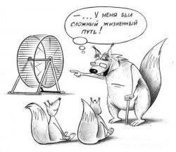 Сложный жизненный путь