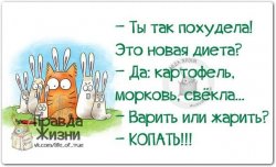 Диета