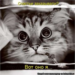 Счастье заказывали?